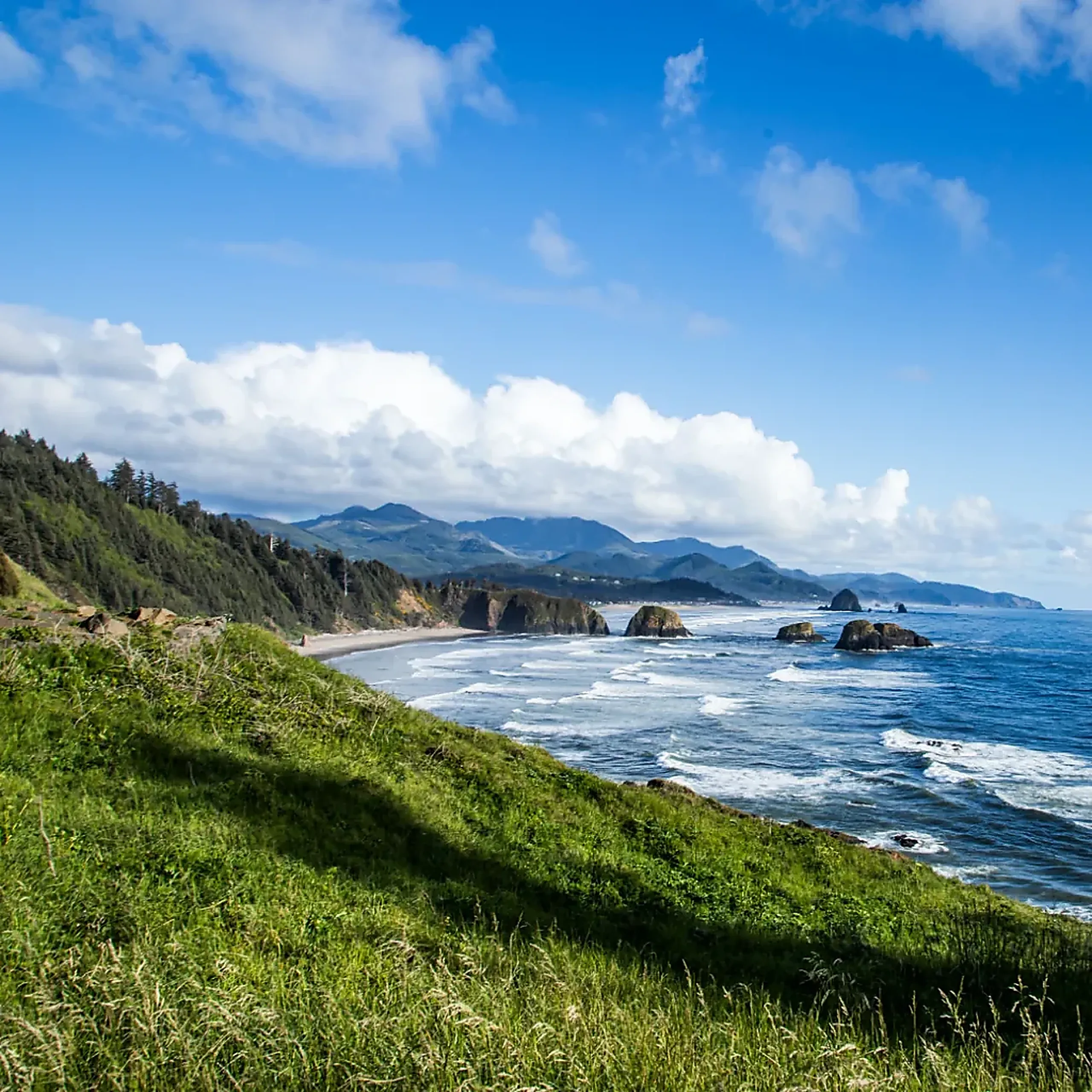 Grassy Oregon headland dropping to surf and sea stacks along the Pacific